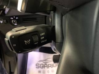 DS AUTOMOBILES DS 7 usata, con Autoradio digitale