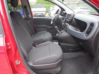 FIAT Panda Cross usata, con Airbag testa