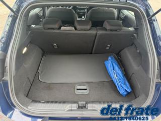 FORD Puma usata, con Fendinebbia