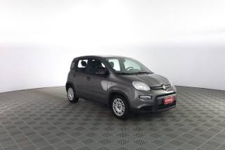 FIAT Panda usata 1