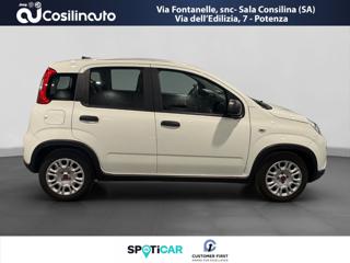 FIAT Panda usata, con Antifurto