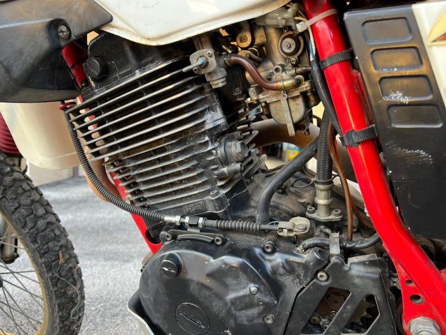 YAMAHA XT 600 usata 8