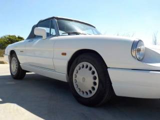ALFA ROMEO Spider usata 14