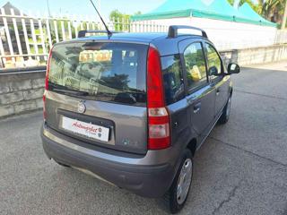 FIAT Panda usata, con Airbag Passeggero