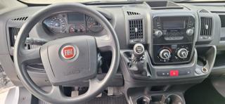 FIAT Ducato usata 16