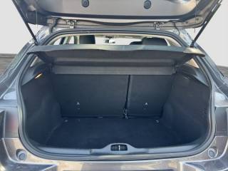 CITROEN C4 Cactus usata 12