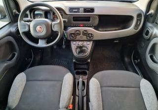 FIAT Panda usata, con Immobilizzatore elettronico