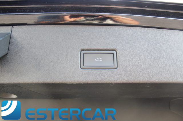 VOLKSWAGEN T-Roc usata, con Volante in pelle