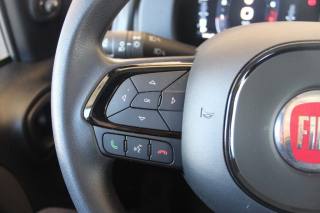 FIAT Panda usata 15