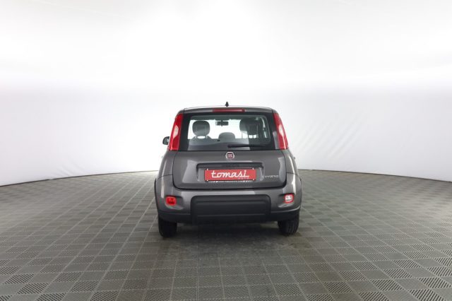 FIAT Panda usata 4