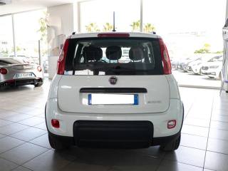 FIAT Panda usata, con Airbag Passeggero