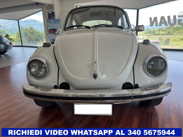 VOLKSWAGEN Maggiolone usata 1