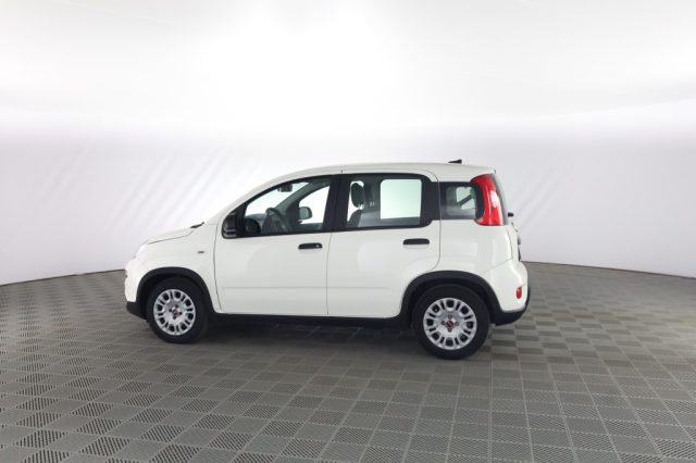 FIAT Panda usata 5
