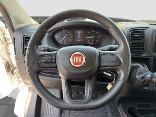 FIAT Ducato usata 9