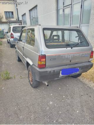 FIAT Panda usata 3