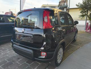 FIAT Panda usata, con Airbag Passeggero