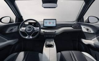 BYD Dolphin Surf usata, con Park Distance Control