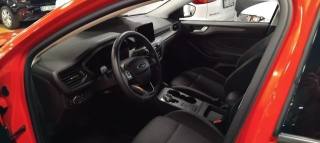 FORD Focus usata 13