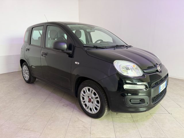 FIAT Panda usata 16