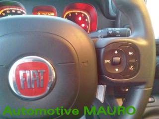 FIAT Panda Cross usata, con Controllo trazione