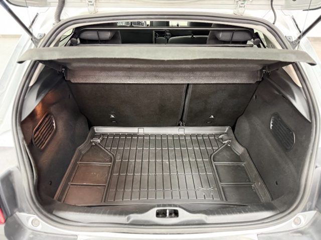 CITROEN C4 Cactus usata, con Cronologia tagliandi