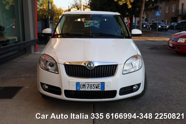 SKODA Fabia usata 79