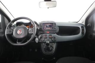 FIAT Panda usata 4