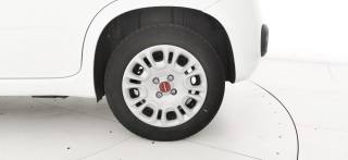 FIAT Panda usata 56