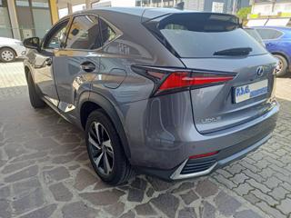 LEXUS NX 300 usata, con Airbag