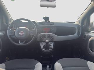 FIAT Panda usata 10
