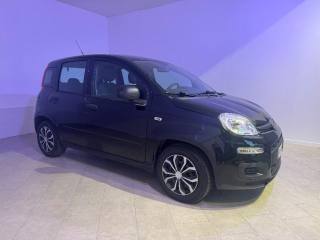 FIAT Panda usata 14