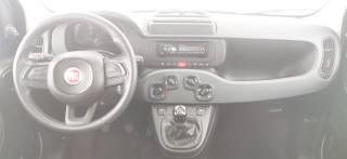 FIAT Panda usata, con Cronologia tagliandi