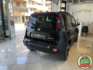 FIAT Panda Cross usata, con Alzacristalli elettrici