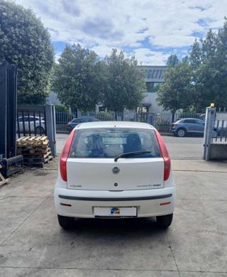 FIAT Punto usata 1