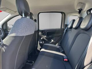 FIAT Panda usata, con Controllo trazione