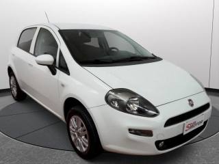 FIAT Punto usata, con Airbag