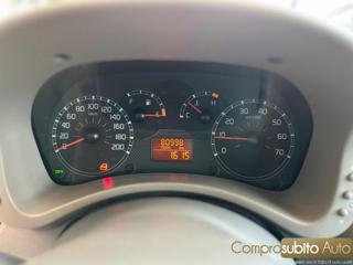 FIAT Panda usata 11