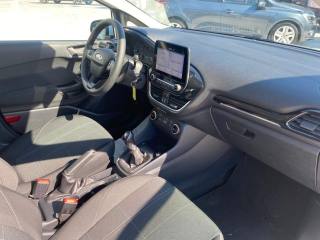 FORD Fiesta usata, con Fendinebbia