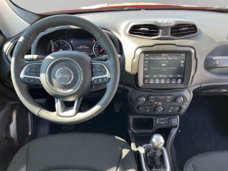 JEEP Renegade usata, con Cruise Control