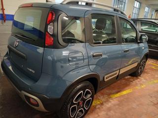 FIAT Panda Cross usata, con Antifurto