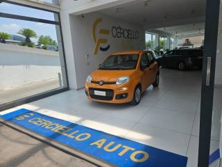 FIAT Panda usata, con Alzacristalli elettrici