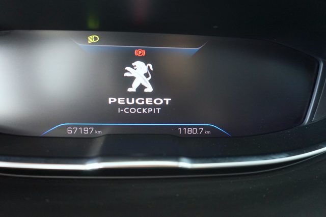 PEUGEOT 3008 usata 50