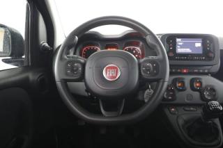 FIAT Panda usata 5