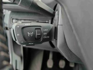 PEUGEOT 3008 usata, con Specchietti laterali elettrici