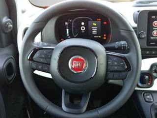 FIAT Panda Cross usata 24