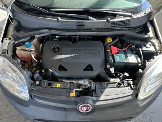 FIAT Panda usata, con Immobilizzatore elettronico