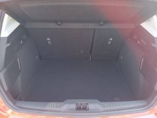 FORD Focus usata, con Servosterzo