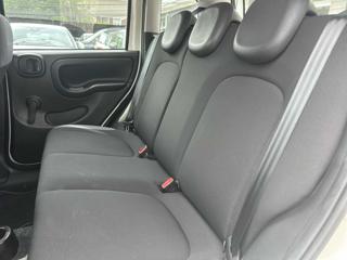 FIAT Panda usata 13