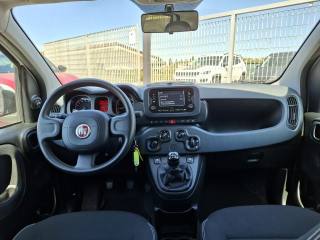 FIAT Panda usata 5