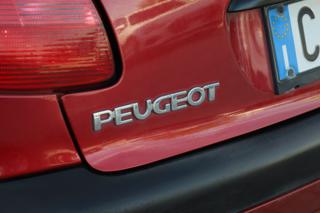 PEUGEOT 206 usata 30